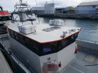 Catamarán en venta