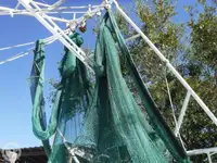 Arrastrero en venta