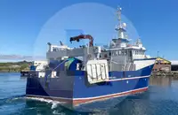 Arrastrero de viga en venta