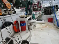 Arrastrero en venta