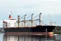 Granelero en venta