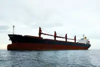Granelero en venta