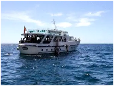 Buque de crucero en venta