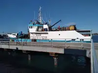 Arrastrero en venta