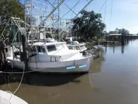 Arrastrero en venta