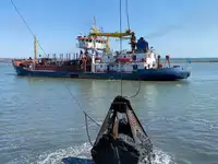 Dragado en venta