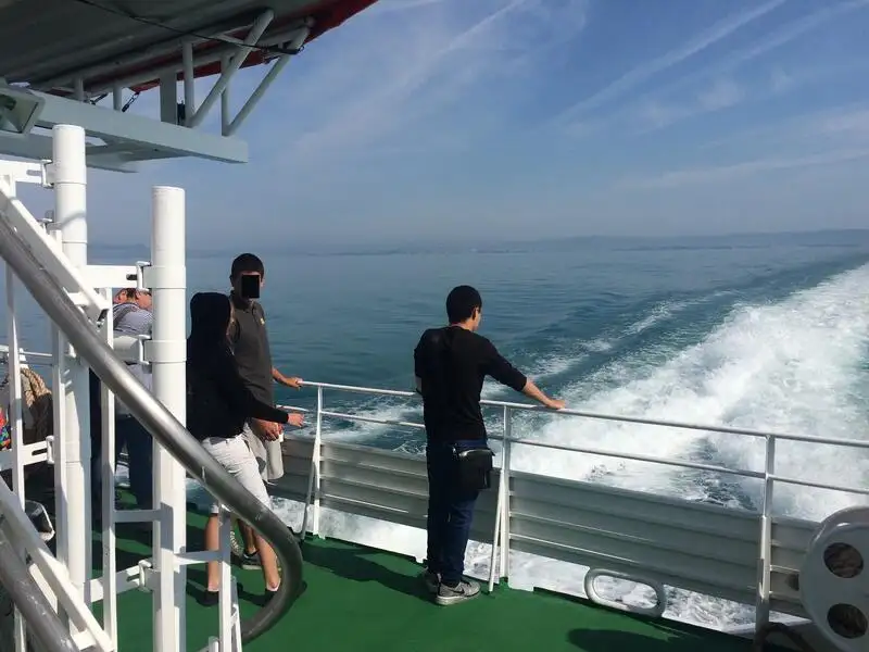Buque de crucero en venta