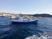 Arrastrero en venta