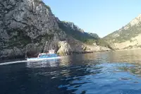 Barco de transbordador en venta