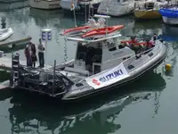 Bote patrulla en venta