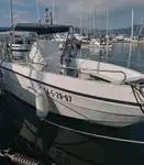 Buque de crucero en venta