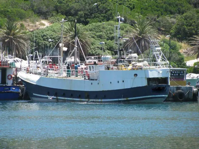 Palangrero en venta