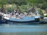 Palangrero en venta