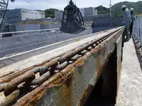 Buque granelero en venta