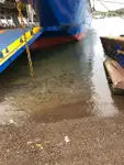Buque Ro-Ro en venta