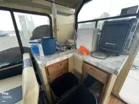 Buque de crucero en venta