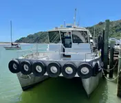 Catamarán en venta