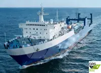 Ro-Ro ship en venta