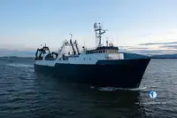 Arrastrero en venta