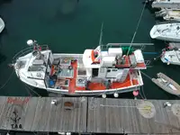Arrastrero en venta
