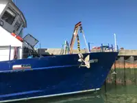 Embarcaciones de trabajo en venta