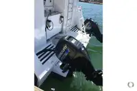 Catamarán en venta