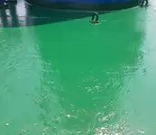 Buque granelero en venta