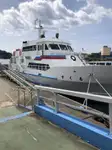 Buque granelero en venta