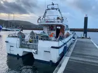 Catamarán en venta