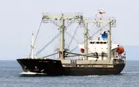 Granelero en venta
