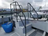 Catamarán en venta