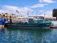 Arrastrero en venta