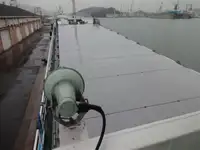 Buque granelero en venta