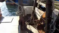 Arrastrero en venta