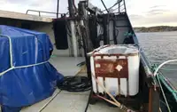 Arrastrero en venta