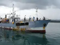 Palangrero en venta