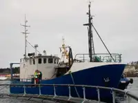 Trawler en venta