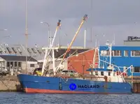 Arrastrero de viga en venta