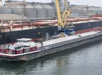 Buque granelero en venta