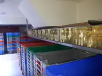 Arrastrero en venta