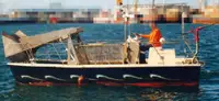 Barcos de trabajo en venta