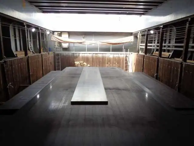 Buque granelero en venta