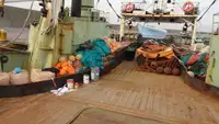 Arrastrero en venta