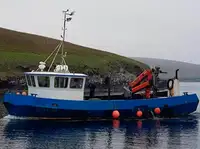 Barcos de trabajo en venta