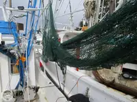Arrastrero en venta