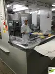 Buque de crucero en venta
