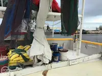 Arrastrero en venta