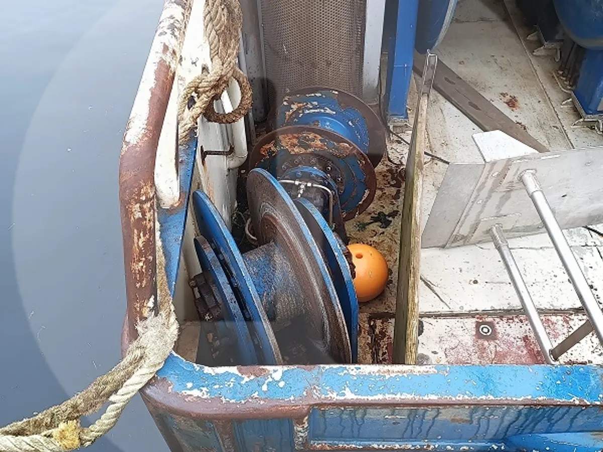 Buque transportador de peces vivos en venta
