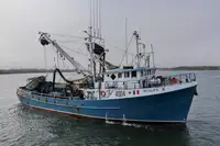 Arrastrero de cerco en venta