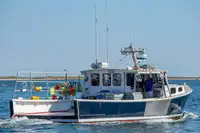 Purse seiner en venta